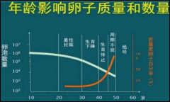 还纠结要不要做试管的看看年龄对试管婴儿的影响有多大！