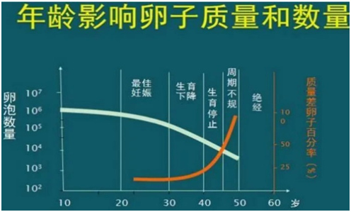 年龄与卵泡数量和卵子质量的关系