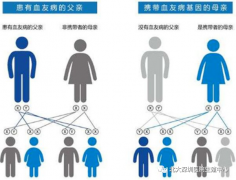 第三代试管婴儿解决遗传问题 X连锁血栓/XL甲型血友病（OMIM:306700）F8基因c.204