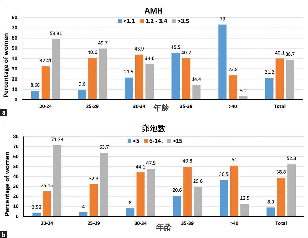 AMH与卵泡数比例 年龄与人群分布