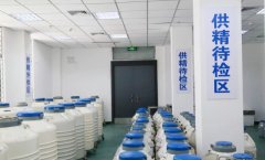 单身不结婚可以申请用精子库的精子怀孕吗？